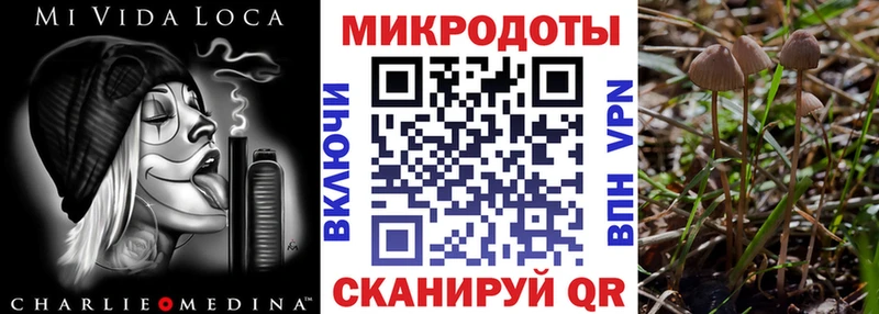 Псилоцибиновые грибы Cubensis  купить наркоту  Михайлов 